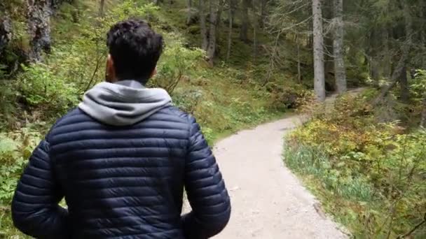 Giovane uomo escursioni in lussureggiante paesaggio di montagna verde — Video Stock