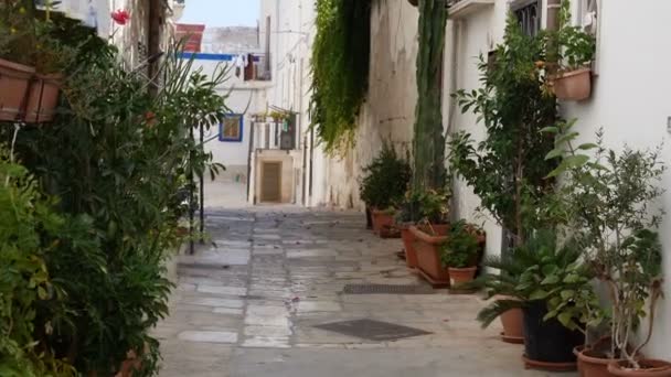 Dentro da cidade velha de Polignano a Mare, Itália — Vídeo de Stock