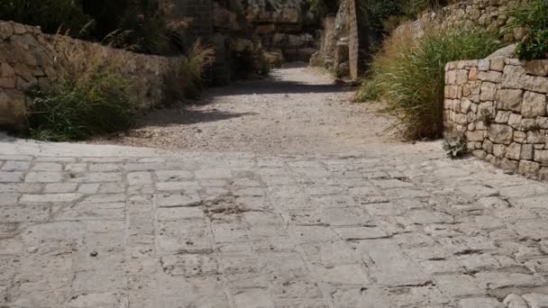 在 Polignano 的老镇里一匹母马, 意大利 — 图库视频影像