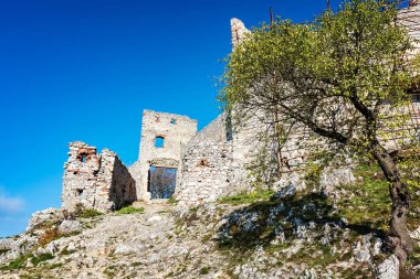 Terk edilmiş sonbaharda Ortaçağ Plavecky kale kalıntıları