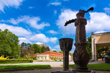 Su çeşme ve spa Adası Piestany (Slovakya'tarihi bina)