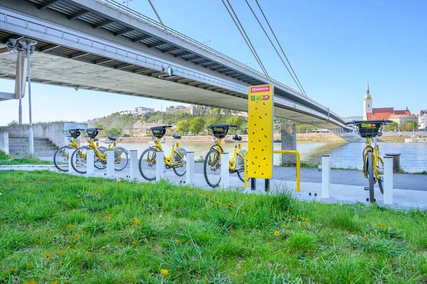 Bratislava Slovaquie Avril 2020 Vélos Publics Jaunes Enfermés Dans Une — Photo