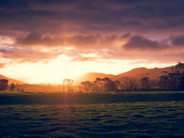 Yeni Zelanda günbatımı