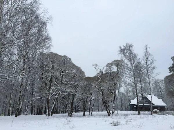 Pueblo de hadas de invierno ruso — Foto de Stock