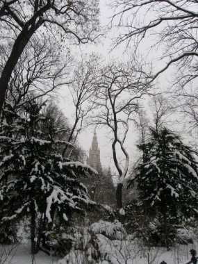 Güzel bir Park ağaçlar karlı Viyana ile görünümünü