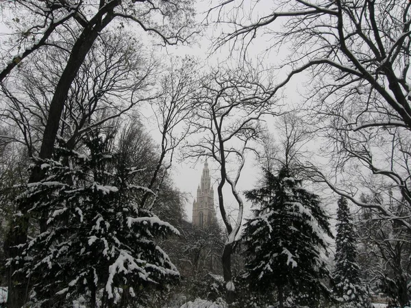 Schöne Aussicht auf einen Park mit Bäumen schneebedecktes Wien — Stockfoto