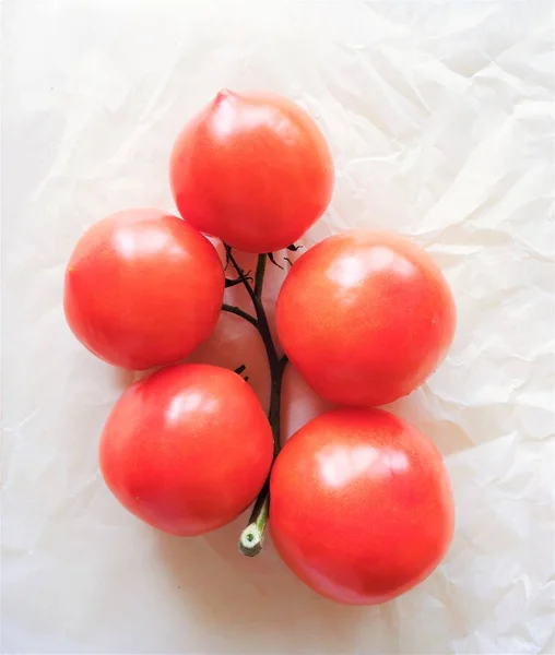 Яскраво-червоні помідори на гілці білого фону — стокове фото