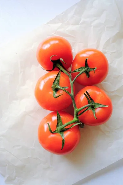 Bright red tomatoes on a branch white background — Stock Photo, Image