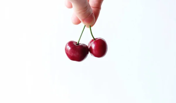 Dois cereja vermelha na mão sobre fundo branco — Fotografia de Stock