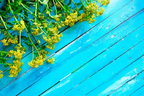 Hermoso fondo azul con flores silvestres amarillas —  Fotos de Stock