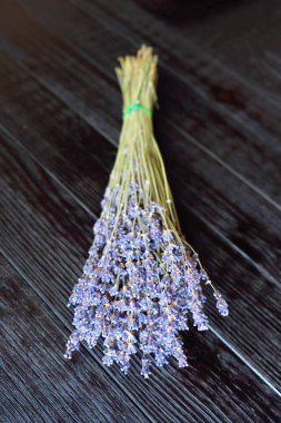 Güney Fransa dan güzel lavanta