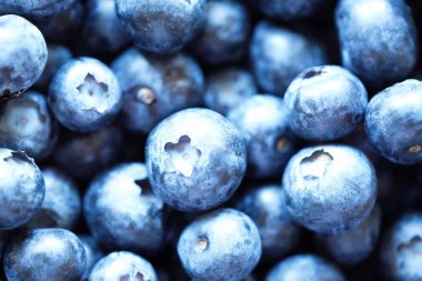 Çok taze lezzetli büyük yaban mersini görüntülemek 