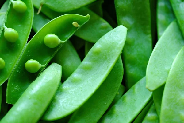 Yemek pişirmek için taze yeşil bezelye görüntülemek 