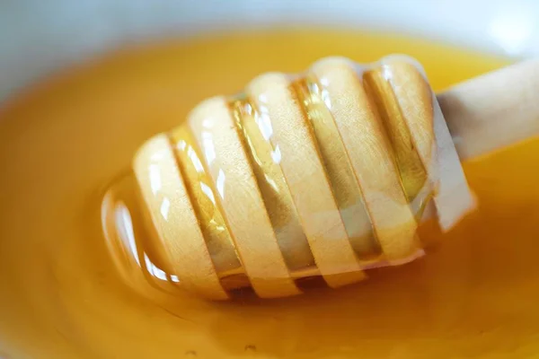 Вкусный цветочный мед и деревянная палочка — стоковое фото
