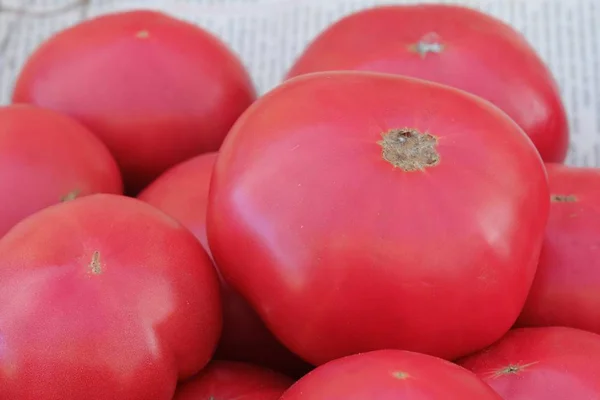 市场上的大粉红色西红柿 — 图库照片