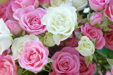 Güzel beyaz ve pembe gül buketi