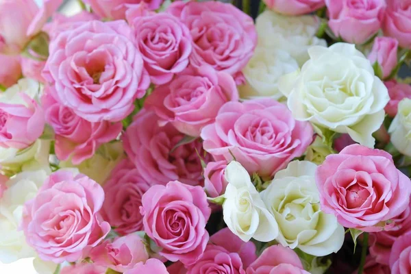 Beautiful bouquet of white and pink roses — Stock Photo, Image