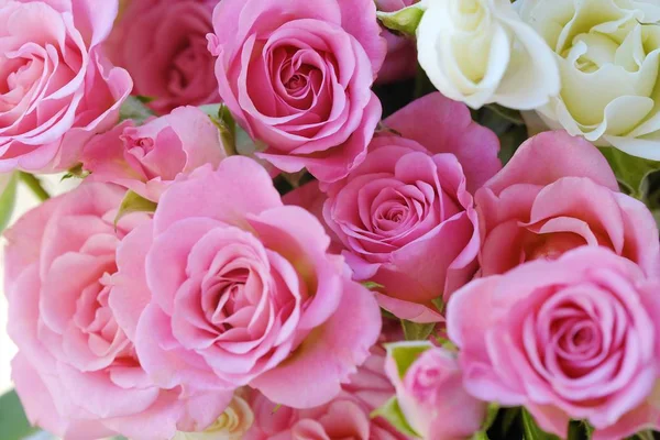 Krásnou kytici růží bílé a růžové — Stock fotografie