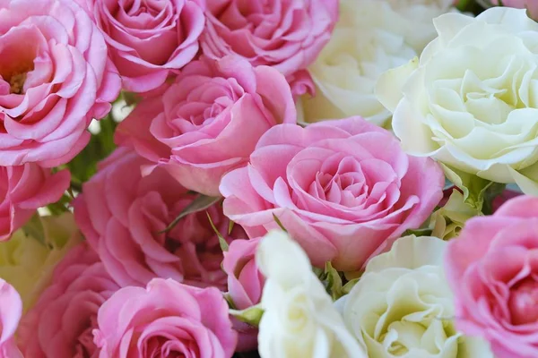 Beautiful bouquet of white and pink roses — Stock Photo, Image