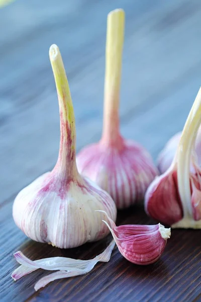 Fresh garlic from the garden on wooden background