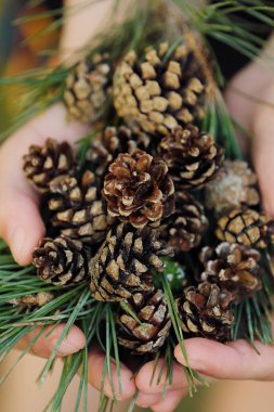 Elinde güzel Noel koniler görüntülemek