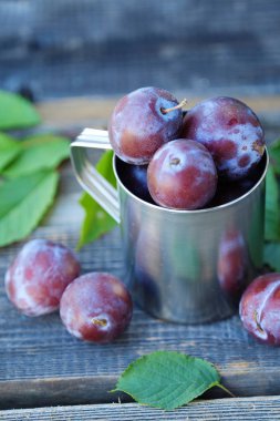 Demir Kupası'nda taze Erik görüntülemek 