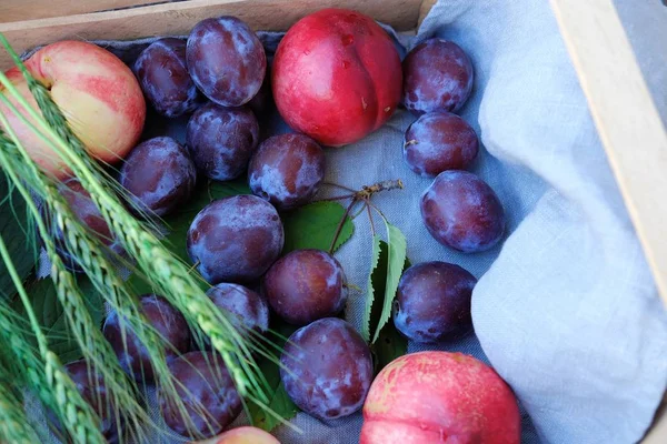 Fresh plums and peaches in a wooden box