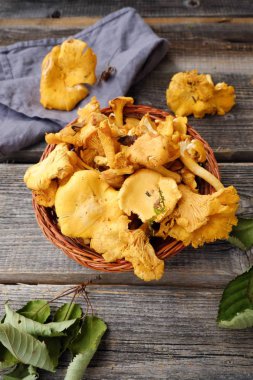 ahşap arka plan üzerinde taze Cantharellus cibarius mantar  