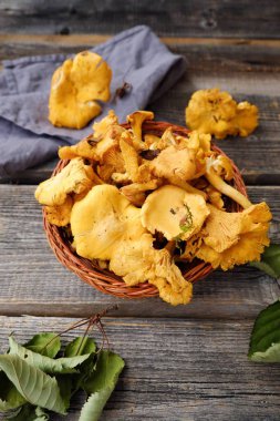 ahşap arka plan üzerinde taze Cantharellus cibarius mantar  