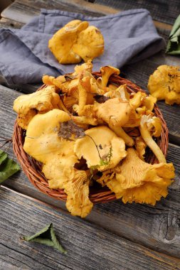 ahşap arka plan üzerinde taze Cantharellus cibarius mantar  