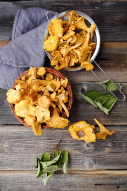 ahşap arka plan üzerinde taze Cantharellus cibarius mantar  