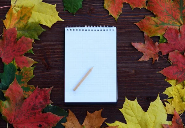 Podzimní pozadí s barevnými listy a Poznámkový blok — Stock fotografie