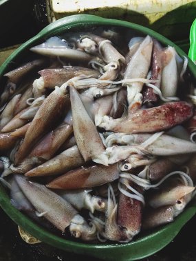 Balık pazarında büyük taze kalamar 