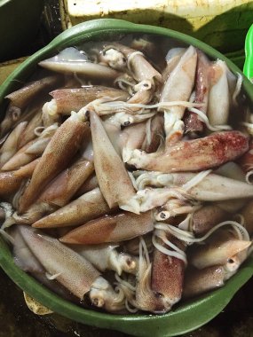 Balık pazarında büyük taze kalamar 