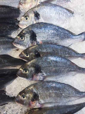 İçinde belgili tanımlık çarşı buzda lezzetli taze balık 