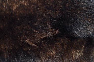 Güzel pahalı koyu kahverengi kürk samur