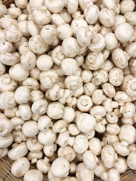 Pazar sepeti taze mantar