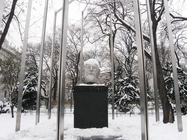 Красивая Статуя Площади Вены Зимой — стоковое фото