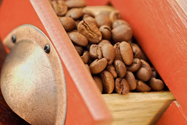 Roasted coffee beans in brown coffee grinder