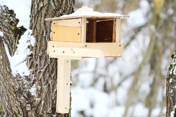Holzfutterstelle Baum Für Vögel Wald — Stockfoto