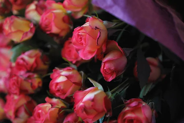 Belo Buquê Rosas Cor Rosa Mesa — Fotografia de Stock