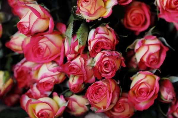 テーブルの上のピンクのバラの美しい花束 — ストック写真