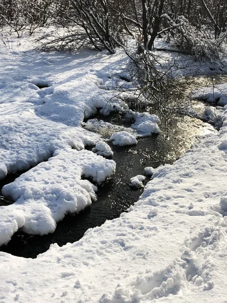 Прекрасный Зимний Ручей Течет Лесу — стоковое фото