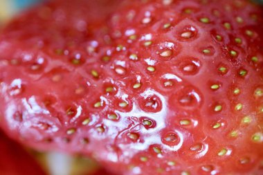 Lezzetli taze çilek yaz sezonu kapatıyoruz