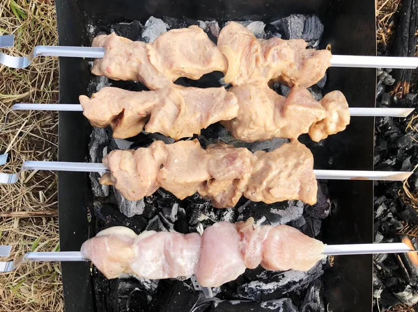 Μπάρμπεκιου Κοτόπουλο Και Χοιρινό Κρέας Στη Σχάρα Καλοκαίρι — Φωτογραφία Αρχείου