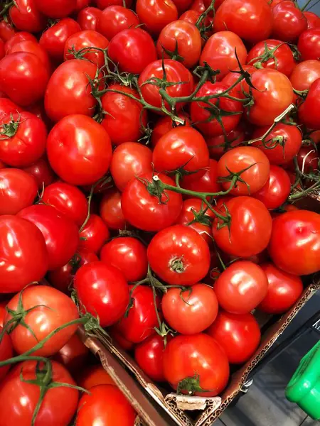 Deliciosos Tomates Rojos Maduros Una Rama Del Mercado —  Fotos de Stock