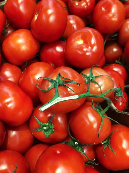 Deliciosos Tomates Rojos Maduros Una Rama Del Mercado —  Fotos de Stock