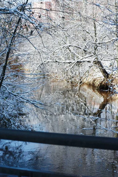 Hermosos Árboles Paisaje Invierno Nieve Río — Foto de Stock