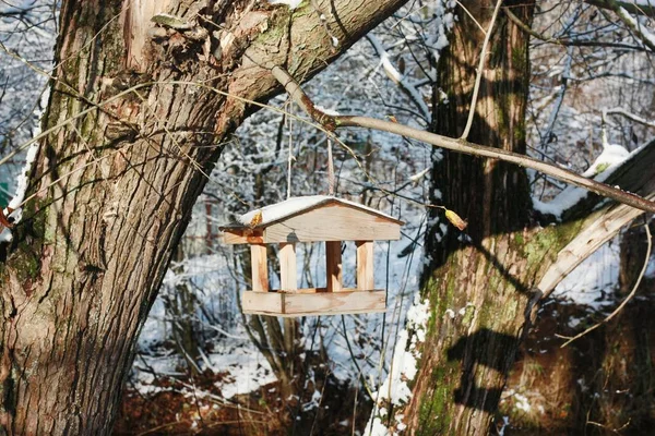 Schöne Hölzerne Vogelfutterstelle Auf Dem Baum — Stockfoto