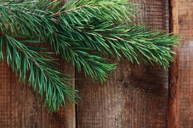 Ahşap arka planda yeşil çam dalları 